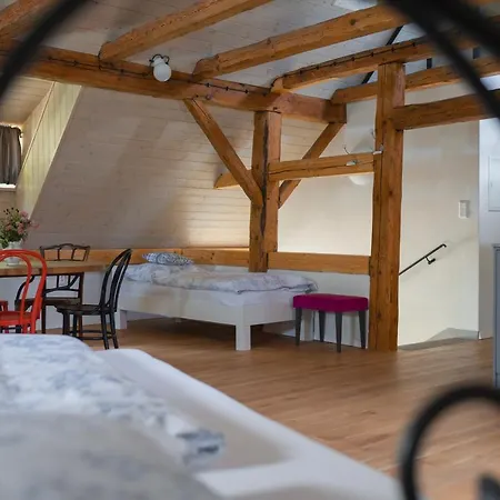 Mlyn Salajna * Dolni Zandov