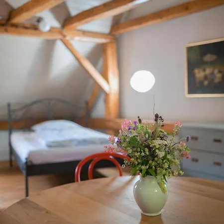 Mlyn Salajna Apartment