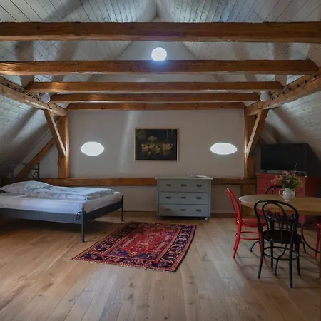 Mlyn Salajna Apartment *