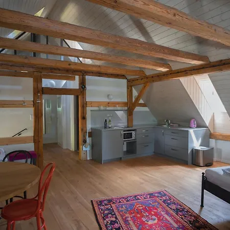 Apartment Mlyn Salajna *