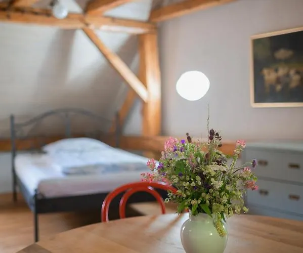 Mlyn Salajna Apartament