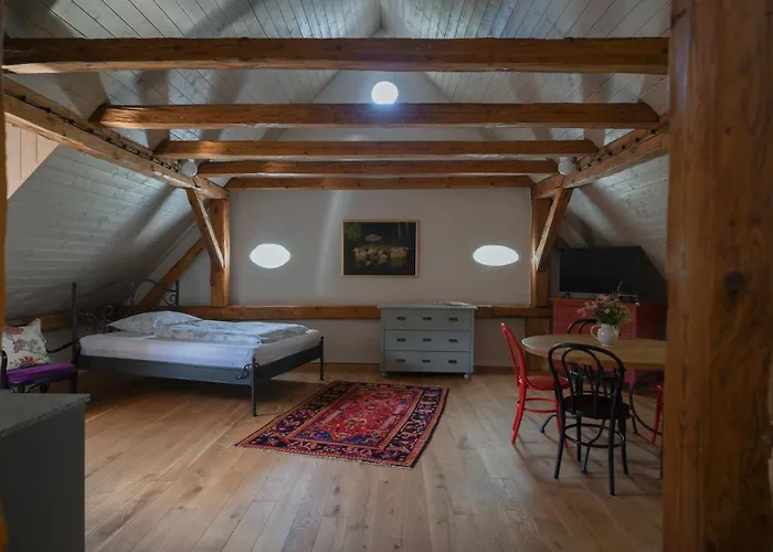 Mlyn Salajna Apartamento *