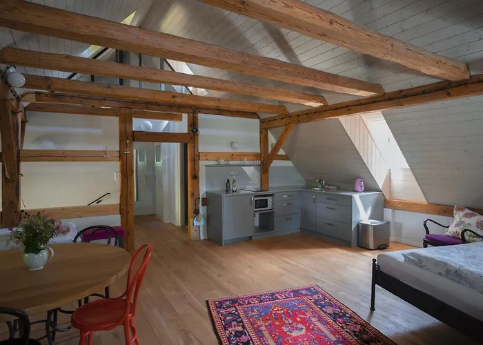 Apartament Mlyn Salajna *
